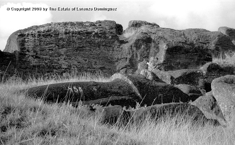 RRI_Cantera_Interior_02.jpg - Easter Island. 1960. Moai on the interior quarry of Rano Raraku.